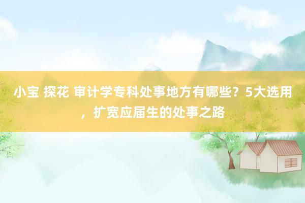 小宝 探花 审计学专科处事地方有哪些？5大选用，扩宽应届生的处事之路
