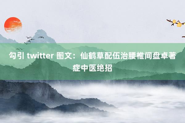 勾引 twitter 图文：仙鹤草配伍治腰椎间盘卓著症中医绝招