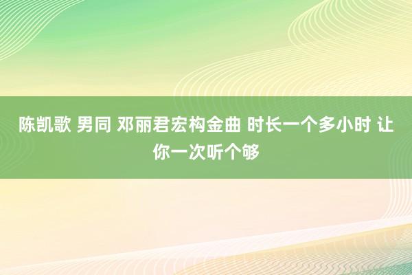 陈凯歌 男同 邓丽君宏构金曲 时长一个多小时 让你一次听个够